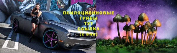 прущая мука Верея
