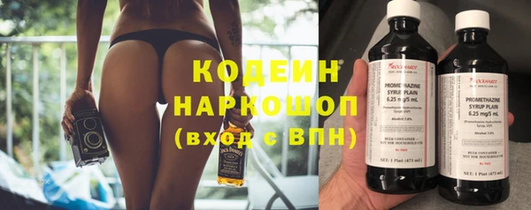 крисы Верхний Тагил