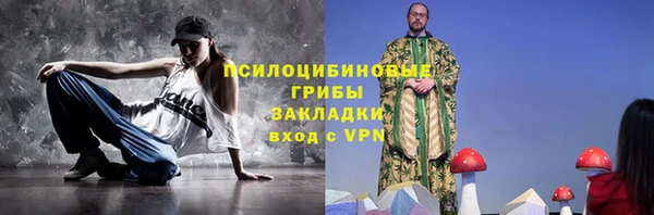 крисы Верхний Тагил