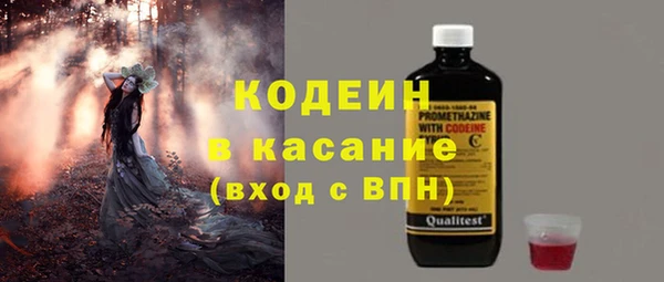 крисы Верхний Тагил
