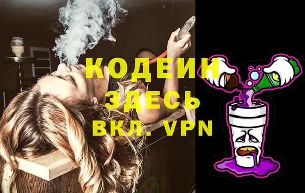 крисы Верхний Тагил