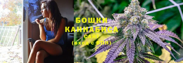 крисы Верхний Тагил
