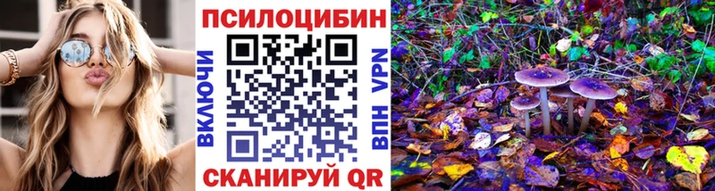где продают   Белокуриха  Псилоцибиновые грибы мухоморы 